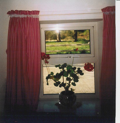 cottagewindow.jpg