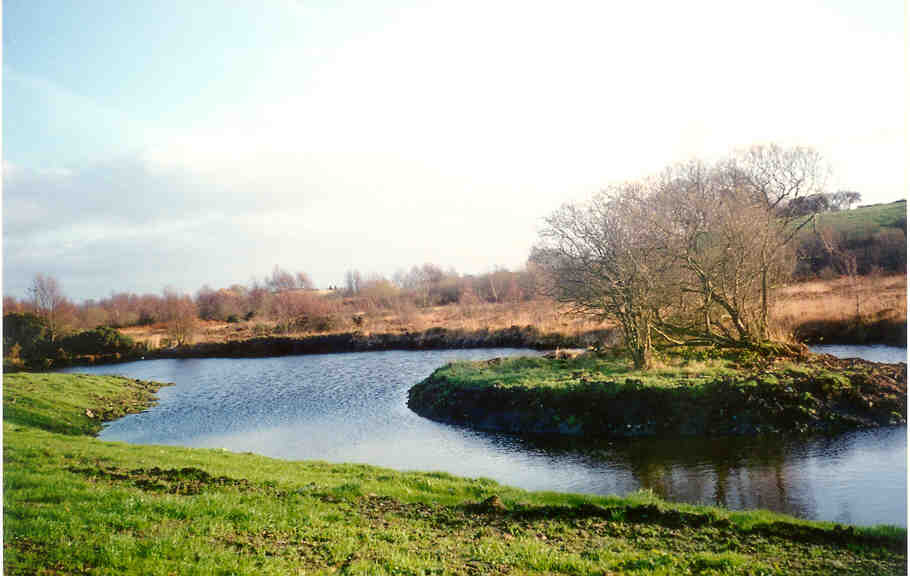 lake.jpg